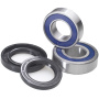 Комплект подшипников заднего колеса ALLBALLS kawasaki zl, zg, kz, vn 251353
